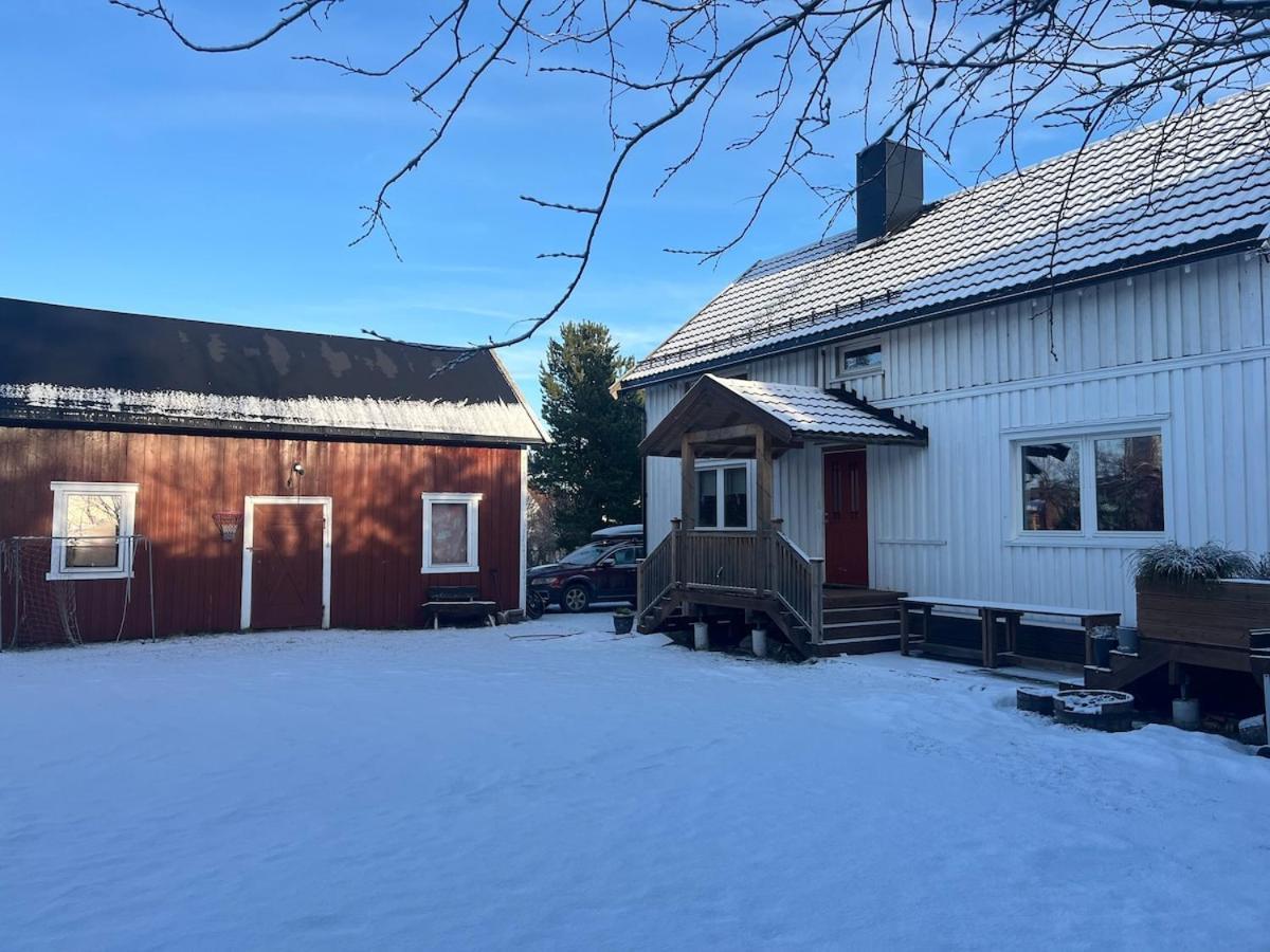 Older Villa With Large Garden Trondheim Exteriör bild