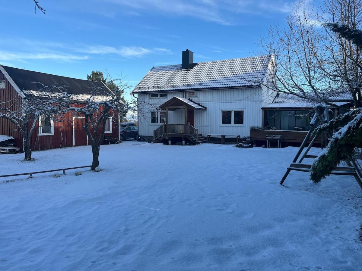 Older Villa With Large Garden Trondheim Exteriör bild