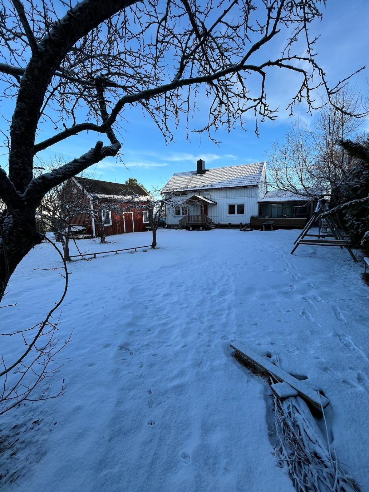 Older Villa With Large Garden Trondheim Exteriör bild